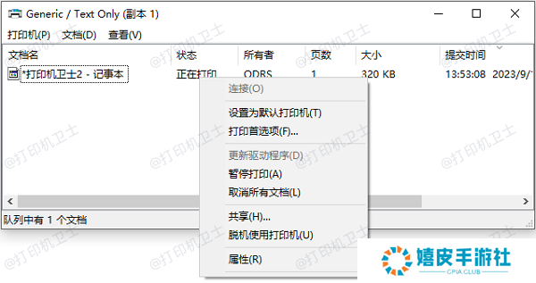 检查打印队列和暂停状态