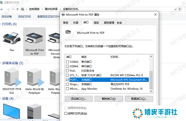 检查打印机端口设置