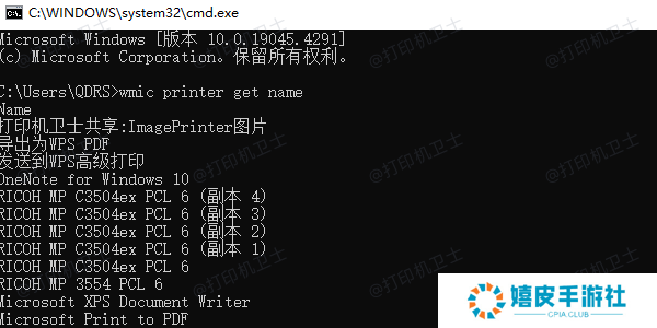 使用命令提示符取消打印任务