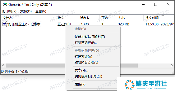 检查打印机队列