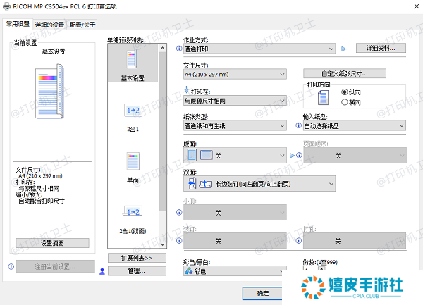 配置打印选项