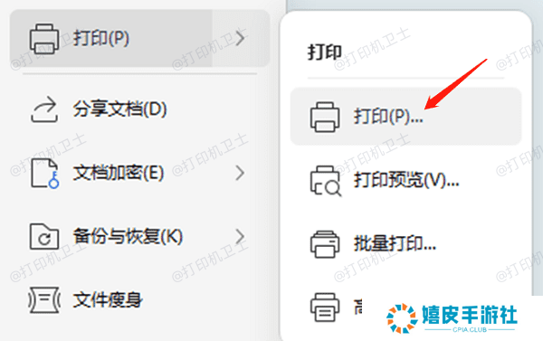 查找打印选项 查找打印选项