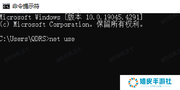 使用命令提示符查询