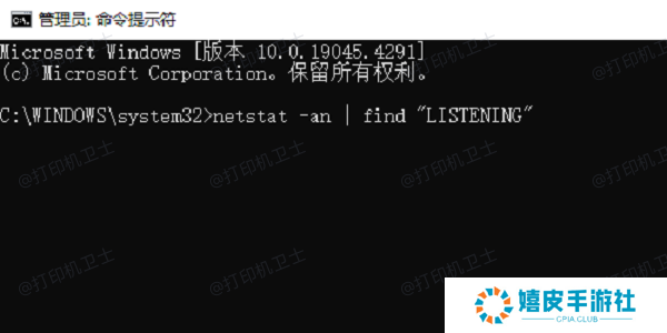 使用命令行工具netstat检查网络打印机