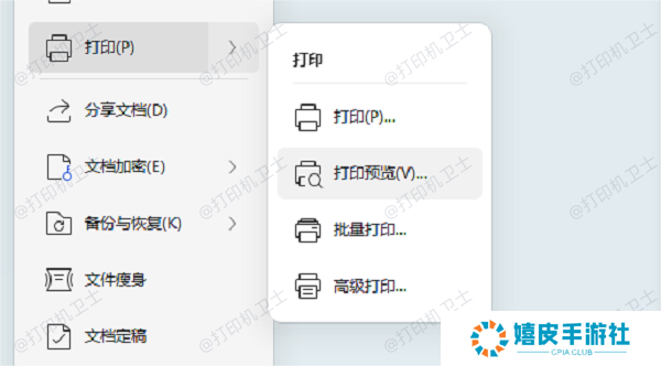 使用打印预览功能