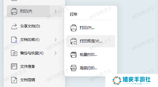 Microsoft Word中的打印预览 Microsoft Word中的打印预览