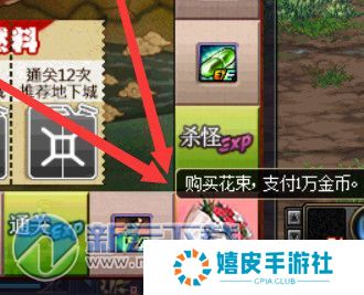 dnf多尼尔环游记卡坤的委托是什么 花束有什么用
