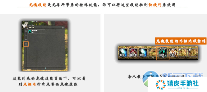 群龙默示录怎么抓龙 群龙默示录抓龙攻略