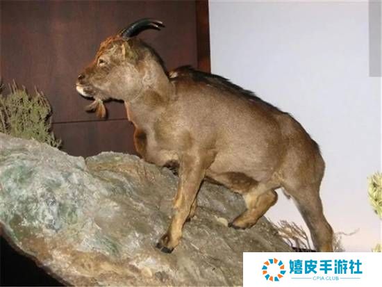 极乐软件园