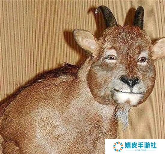 极乐软件园