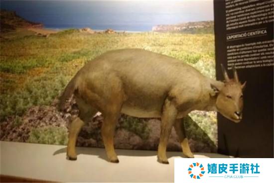 极乐软件园
