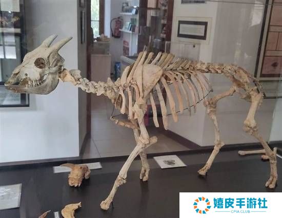 极乐软件园