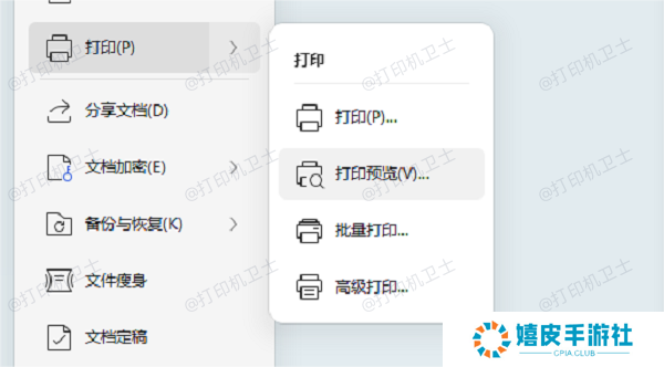 打印预览和调整