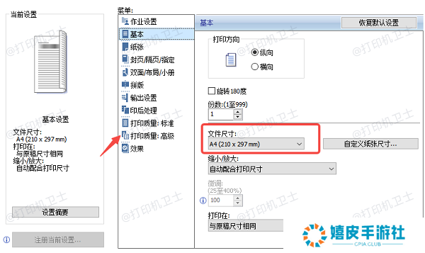 设置打印机和打印选项